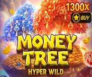 Money Tree - Hyper Wild